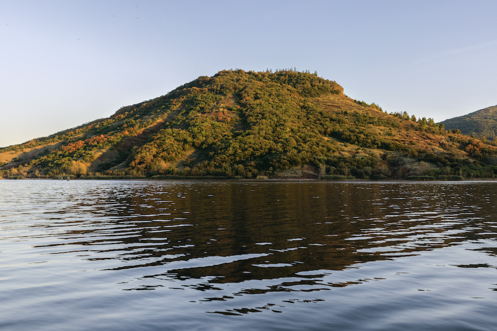 Encontre os produtos em farmácias e parafarmácias