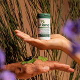 Saúde Articular e Humor Positivo - Suplemento Alimentar