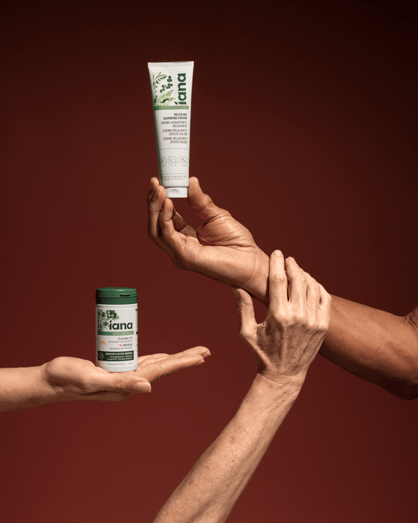 Rotina Flexibilidade e Energia