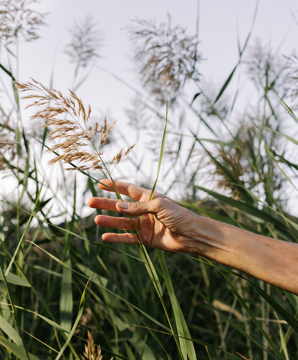 Iana, a natureza ao serviço do seu bem-estar
