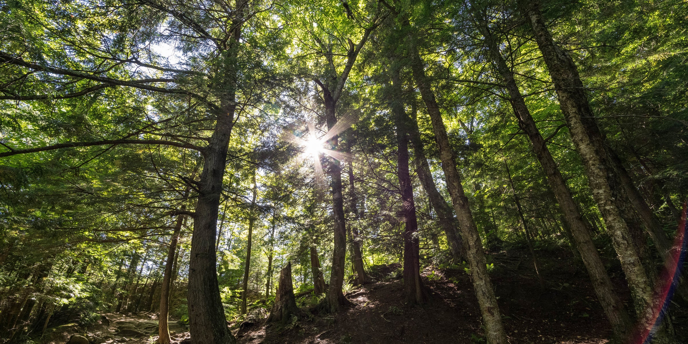 Liberdade de Movimentos. É natural!